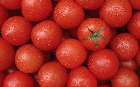 los tomates para la potencia